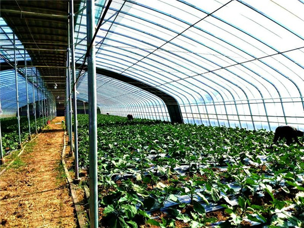 (zhn)̶䁴壺19102fﱼ·