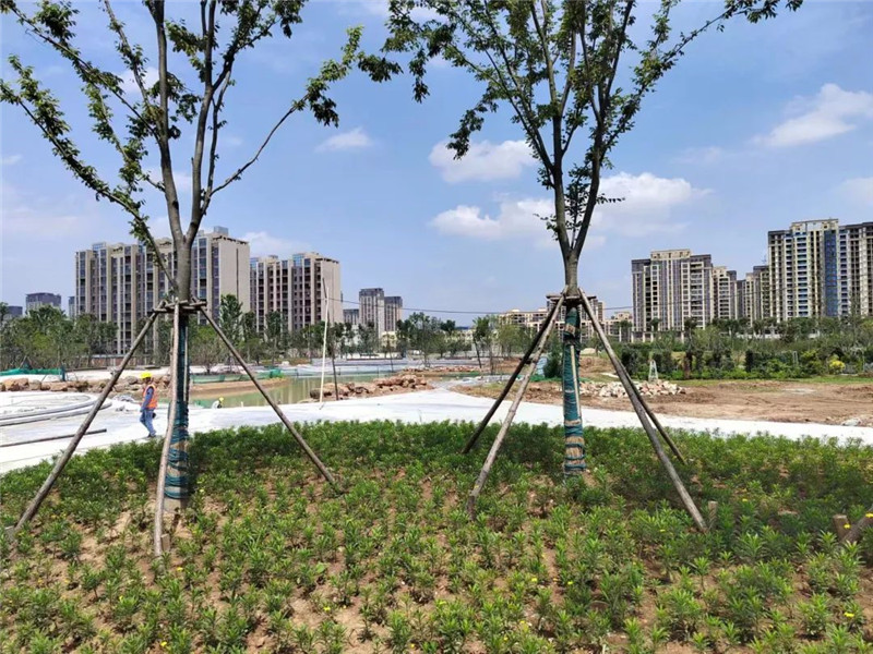 ��Ͷ�Y8000�fԪ���S����һ�w�����@����