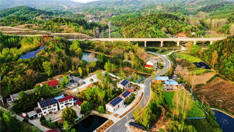 �S���@�l·̫������