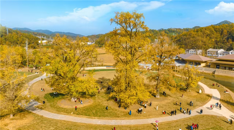 ���h�Ѕ^(q��)ί��ӛ�LՄ����𩣺���ˌ���ȫ���ُ�ȫ�������l(f��)չ�|(zh��)Ч ��ȫ�и��|(zh��)���l(f��)չ��������^Ӳ��֧��