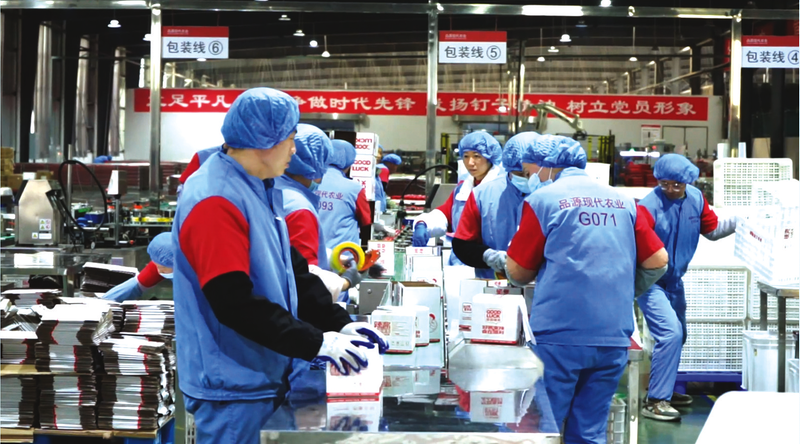 ������֧�c(di��n)���O(sh��)��ƷԴ��˾�M(j��n)܊����(gu��)�٫@��ͻ��������6.1�f(w��n)���̳�����ӆ��