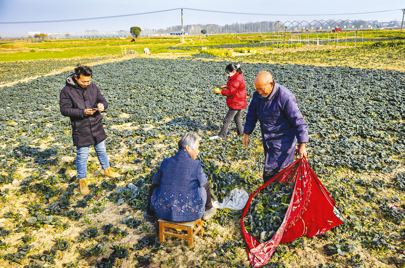 2025�S���������_(k��i)�@��(ji��)���S�h�����(zh��n)ꐼҞ��冢Ļ