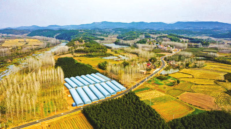 �S�ݡ�ʮ���塱��(j��ng)��(j��)���(hu��)���|(zh��)���l(f��)չϵ�Ј�(b��o)��֮��ͨƪ